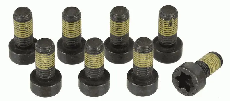 Комплект болтов маховика SACHS 1874 000 044