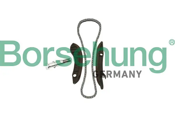 Комплект цепи ГРМ Borsehung B18852