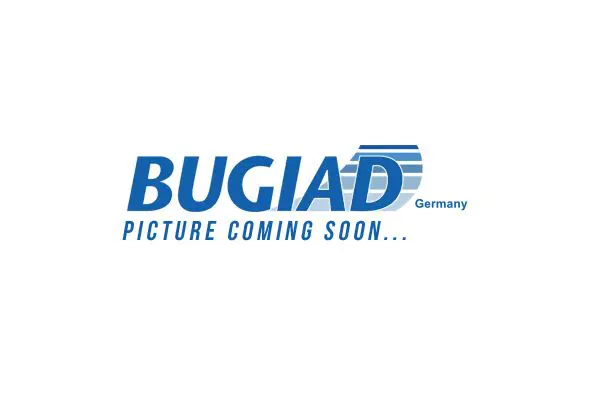 Модуль впускной трубы BUGIAD BIM17035