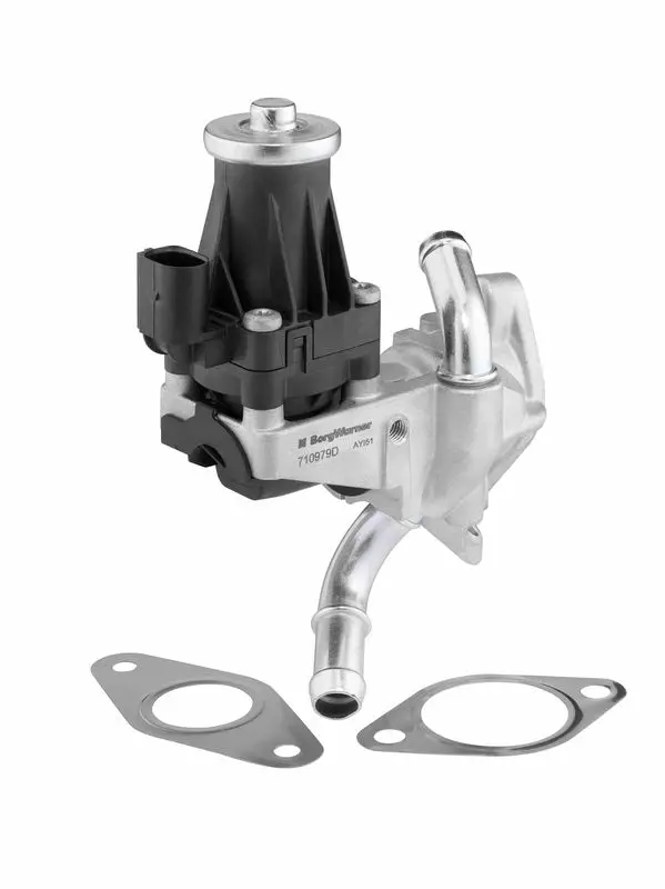 Клапан EGR BorgWarner (Wahler) 710979D