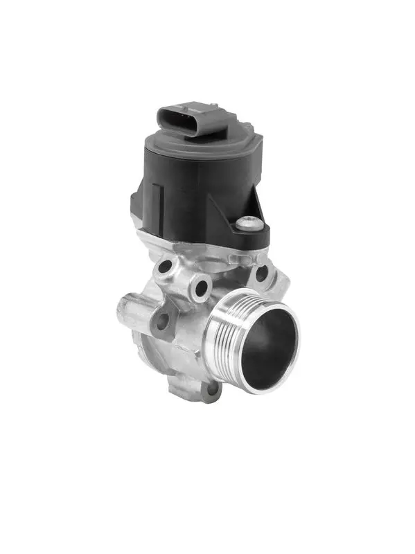 Клапан EGR BorgWarner (Wahler) 710753D