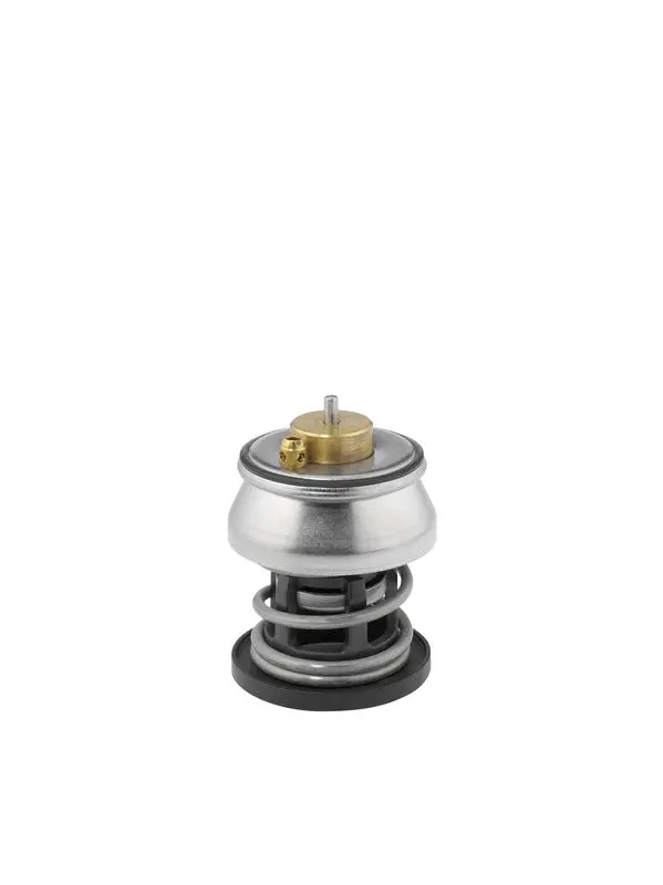 Термостат, охлаждающая жидкость BorgWarner (Wahler) 412253.88D