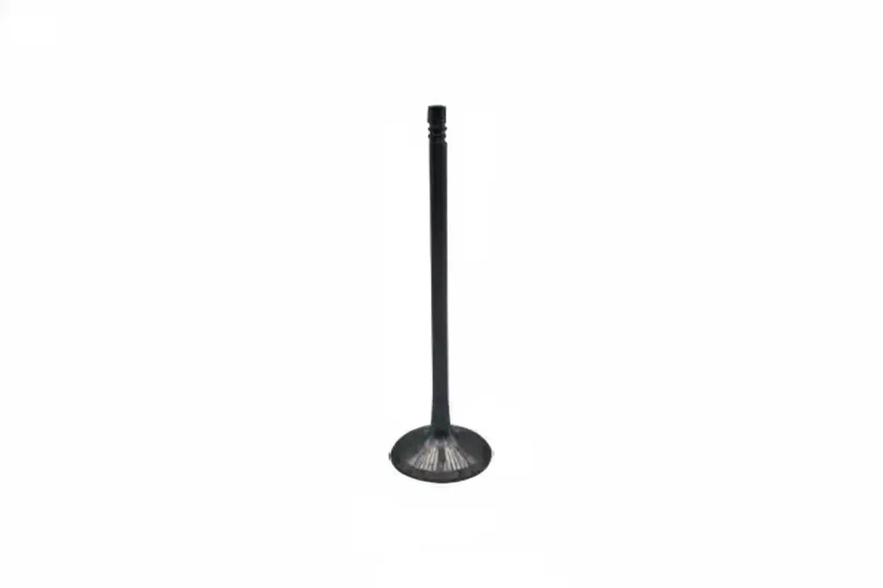 Впускной клапан Borsehung B10323