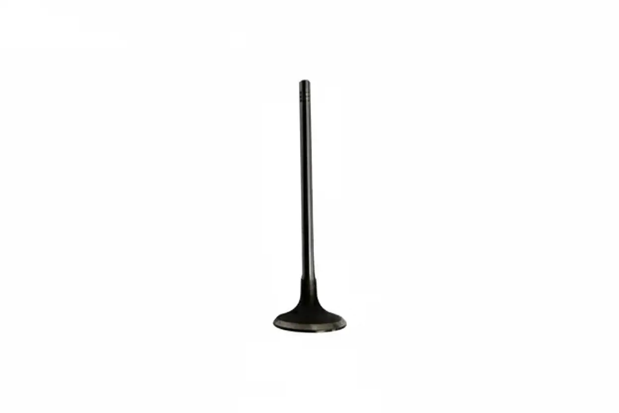 Впускной клапан Borsehung B10334