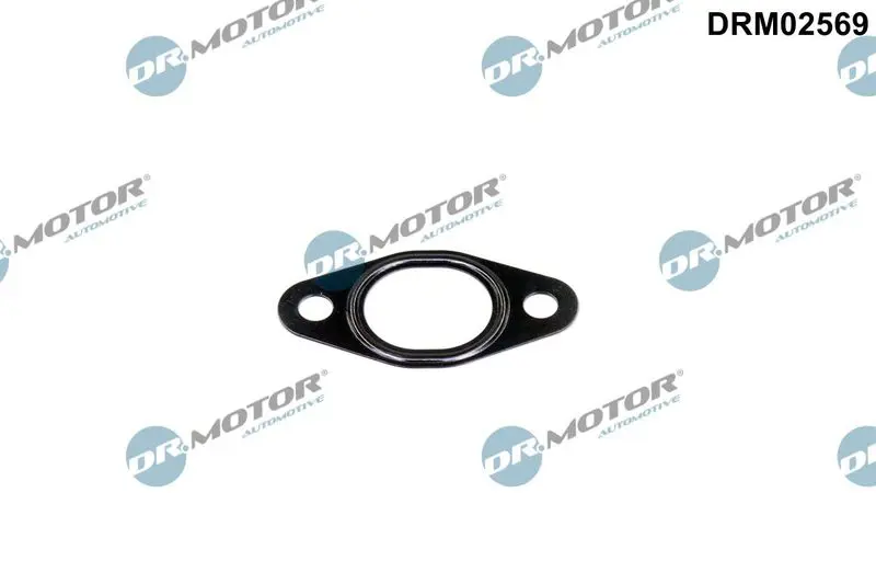 Уплотнительное кольцо, трубка клапана EGR Dr.Motor Automotive DRM02569