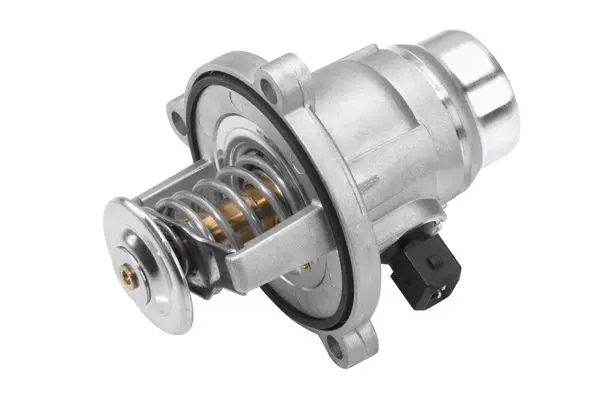 Термостат BorgWarner (Wahler) 4508.101D